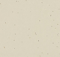 Линолеум Forbo Sphera Energetic 50221 linen фото 1 | FLOORDEALER